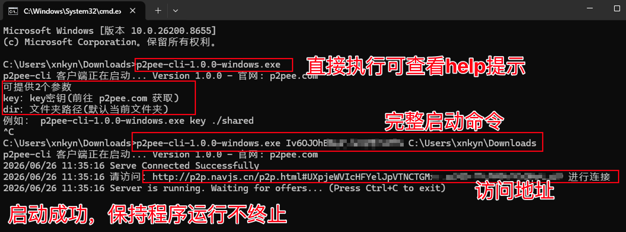 Windows 运行示例